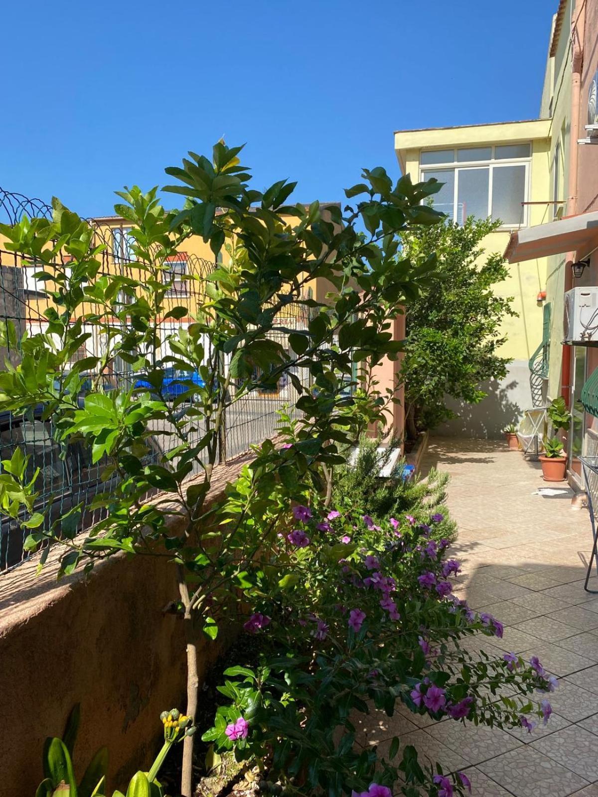 Lemon House Διαμέρισμα Σάσαρι Εξωτερικό φωτογραφία